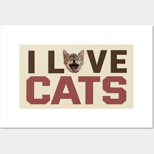 I LOVE CATS V.2 Posters and Art